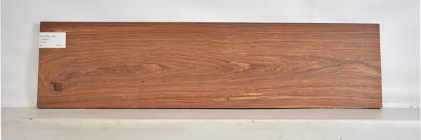 PAUFER1188_1