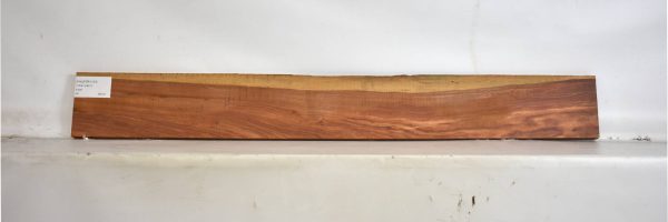 PAUFER1193_1