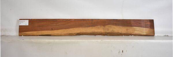 PAUFER1193_2