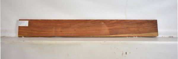 PAUFER1194_2