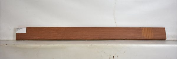 PAUROS1098_2