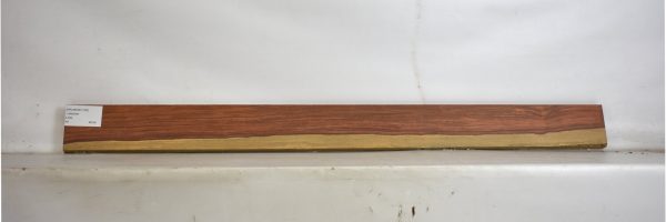 PAUROS1100_2