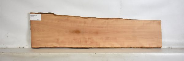 PEARSW1188_1