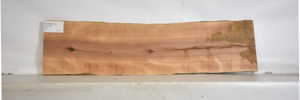 PEARSW1191_2