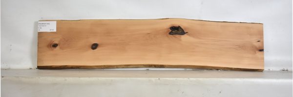 PEARSW1193_1