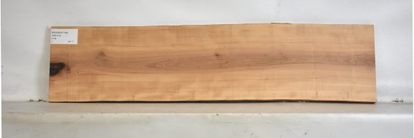 PEARSW1194_1