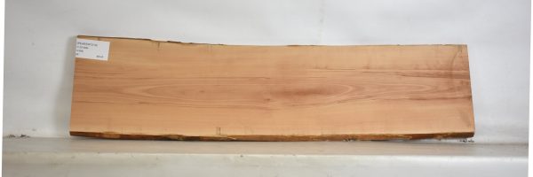 PEARSW1214_2
