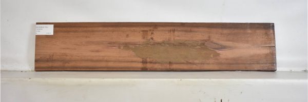 ROSEMAD1162_2