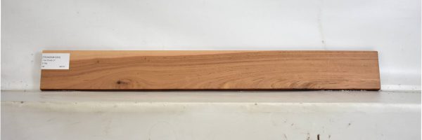 TEAKZAM1293_1