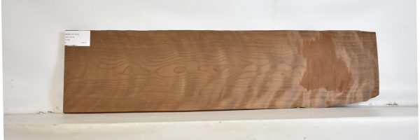 BIRFLR1253_1