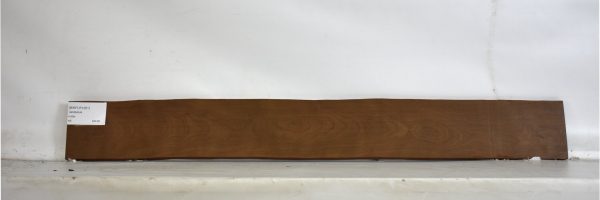 BIRFLR1261_2