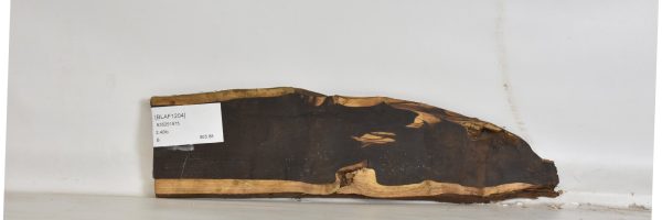 BLAF1204_2
