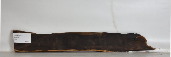 BLAF1205_2