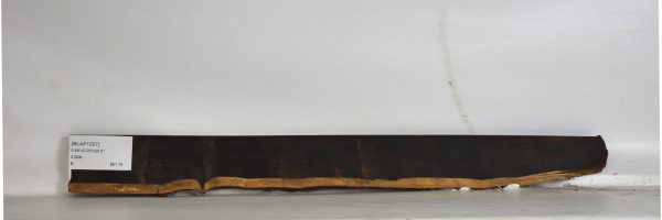 BLAF1207_1