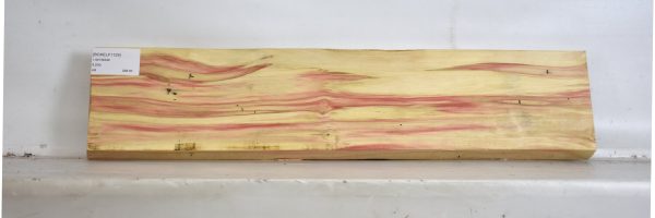 BOXELF1129_2
