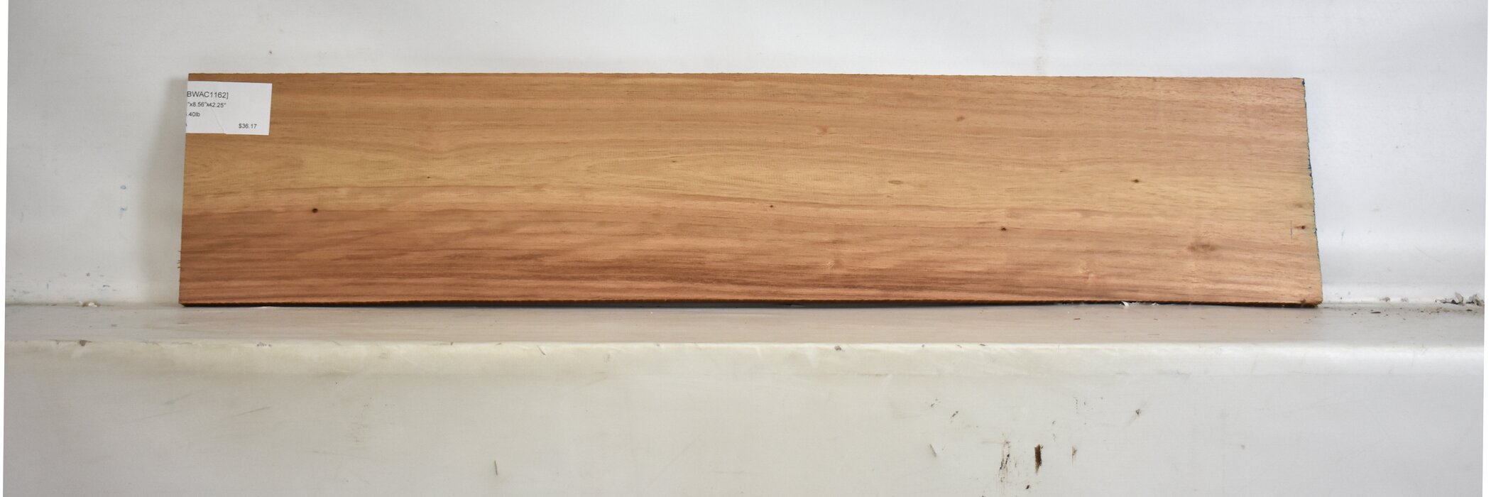 Blackwood - Acacia 2 BWAC1162_2