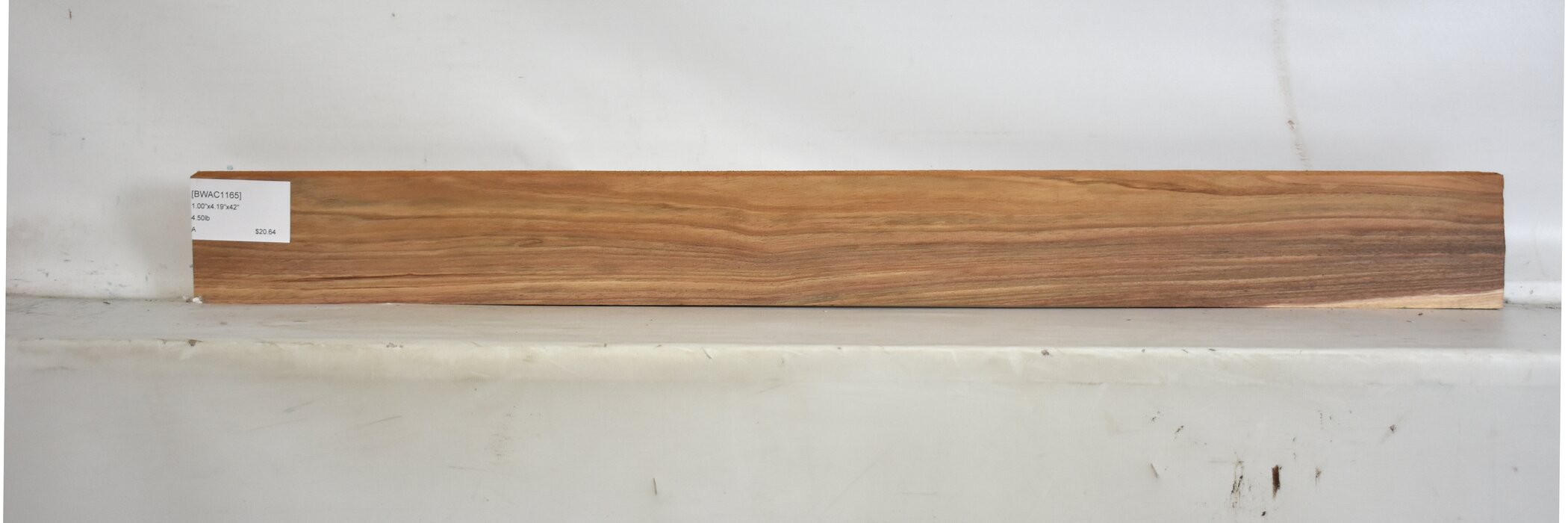 Blackwood - Acacia 2 BWAC1165_2