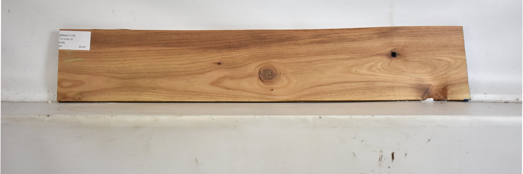 Blackwood - Acacia 2 BWAC1170_2