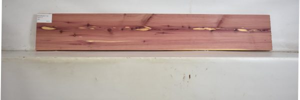 CEDARARO1113_2