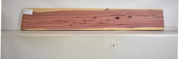 CEDARARO1117_2