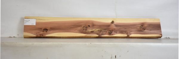 CEDJ1124_1