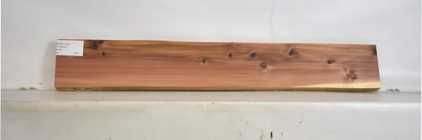 CEDJ1124_2