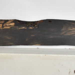 EBONYGAB1078_1