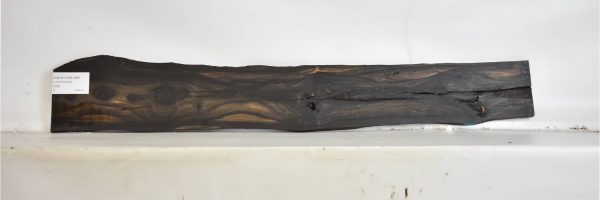 EBONYGAB1088_2