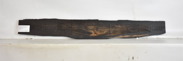 EBONYGAB1093_2