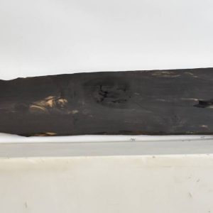 EBONYGAB1095_1