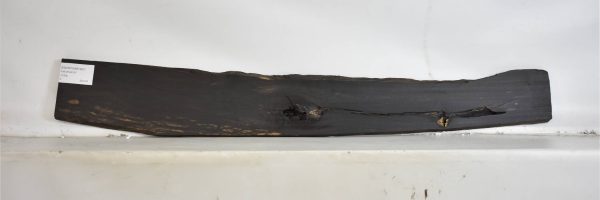 EBONYGAB1097_2