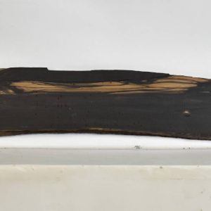 EBONYGAB1100_1
