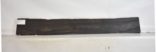 EBONYGAB1103_1