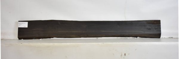 EBONYGAB1103_2