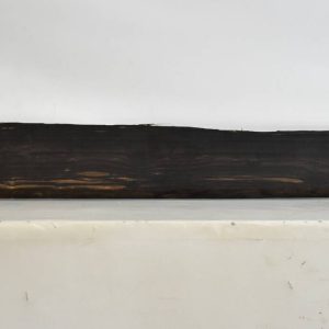 EBONYGAB1106_1