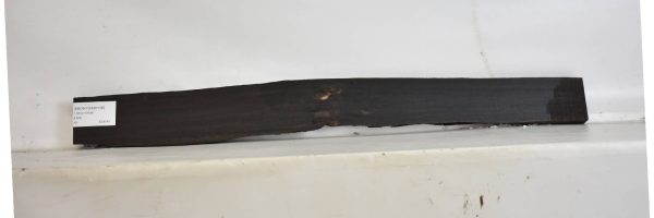 EBONYGAB1108_1