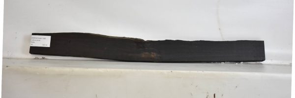 EBONYGAB1108_2