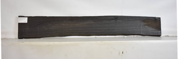 EBONYGAB1112_2