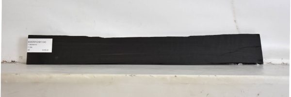 EBONYGAB1124_1
