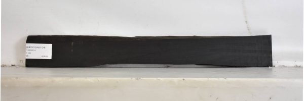 EBONYGAB1124_2