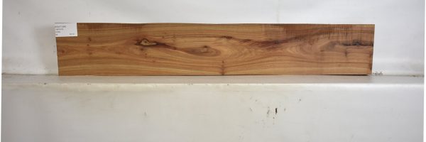 KIAAT1284_2