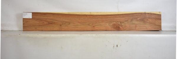 KIAAT1286_2