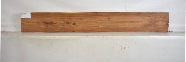 KIAAT1288_1