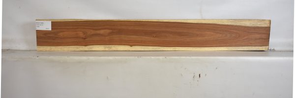 KIAAT1288_2