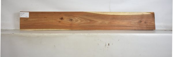 KIAAT1289_1