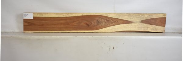 KIAAT1289_2