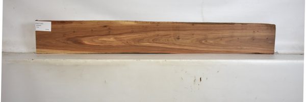 KIAAT1290_2