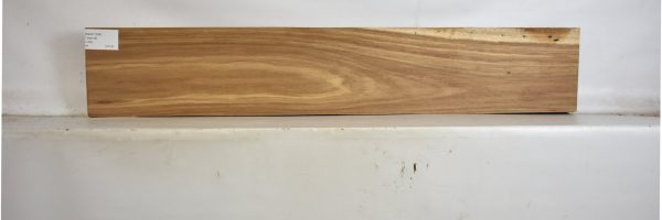 KIAAT1294_2