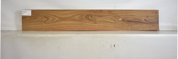 KIAAT1296_2