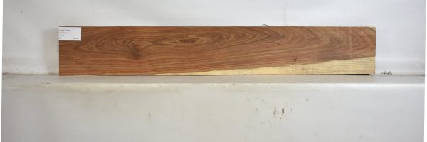 KIAAT1298_2